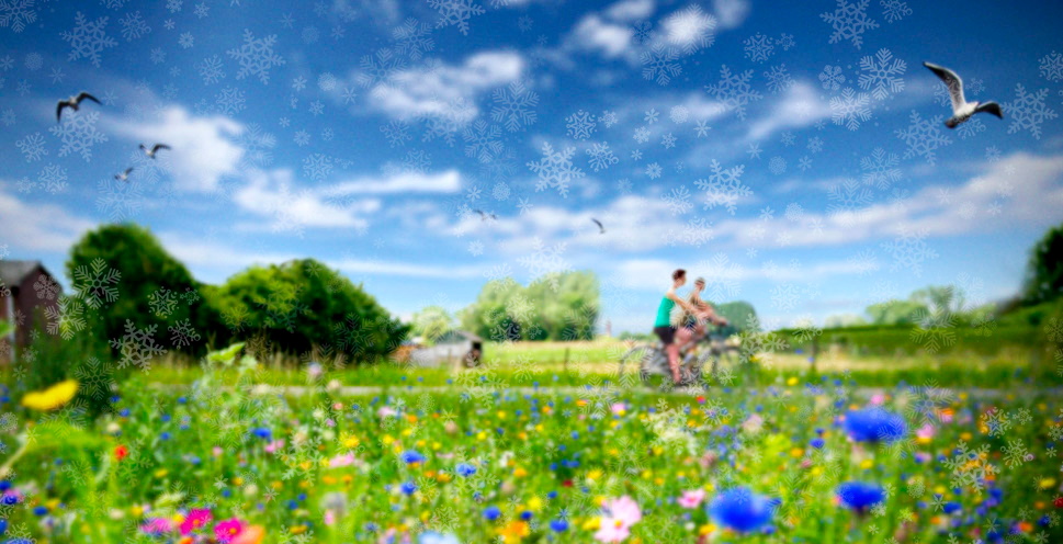 Social Deal Brabant Wallon image d'ambiance