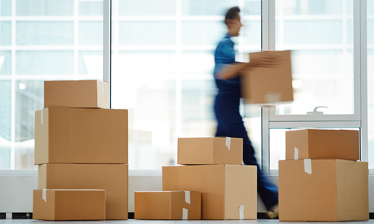 Best Movers