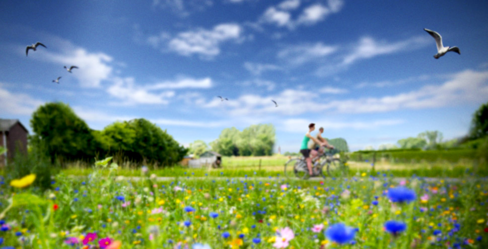 Social Deal de Achterhoek sfeerafbeelding