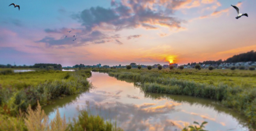 Social Deal de Betuwe sfeerafbeelding