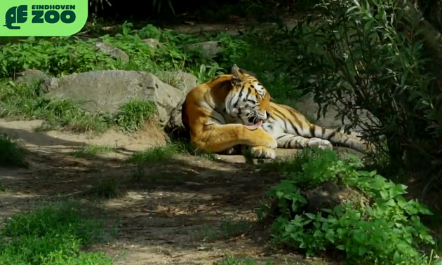 Eindhoven Zoo