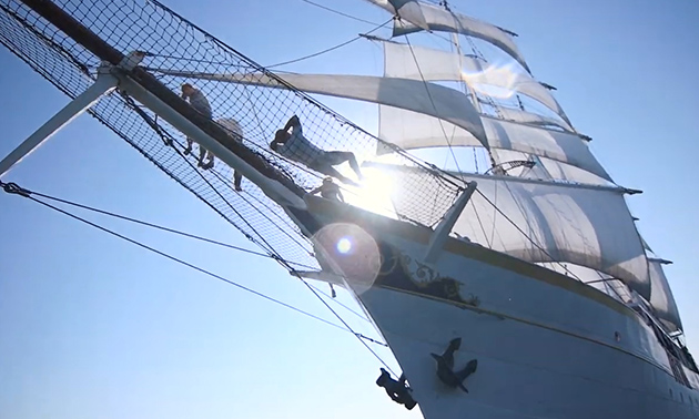 Stedemaeght Sailing Charters